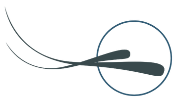 haaranalyse_haarcelle